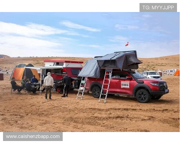 官方飞艇运营模式全新解析与未来发展趋势深度探讨